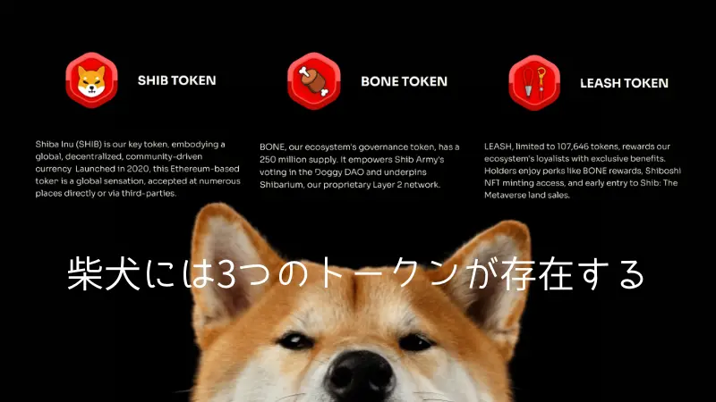 柴犬コインには3つのトークンがあります。